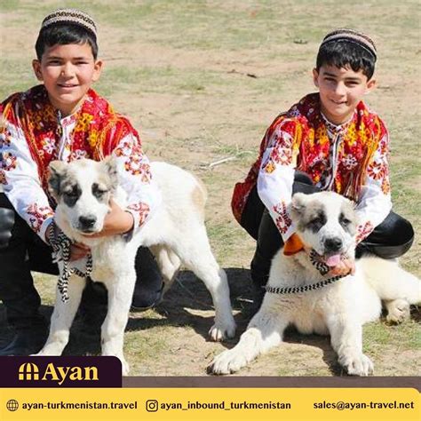 Turkmen Alabay or Central Asian Shepherd Dog - Ayan Travel Agency ...