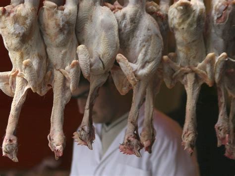 Halal meat: what is it and why is it so controversial? | The Week