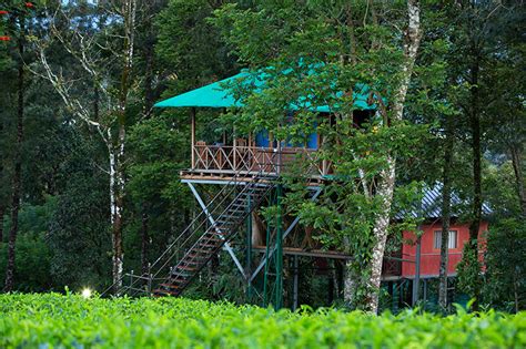 Premium Resort in Munnar-Dream Catcher Resort - Live Kerala