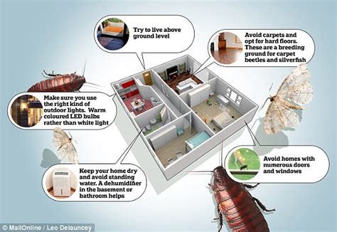 5 ways to prevent bugs from invading your home | Daily Mail Online