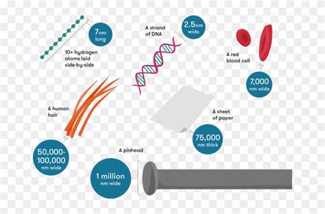 A Couple Of Items With Their Key Measurements In Nanometres ...