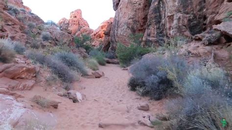 Petroglyphs at Mouse's Tank Trail in Valley of Fire State Park - Cactus ...