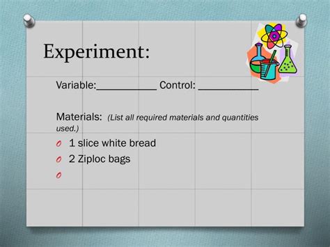 PPT - Bread Mold Experiment PowerPoint Presentation - ID:4354876