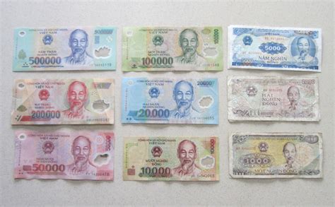 Vietnamese banknotes : Some People Juggle Geese