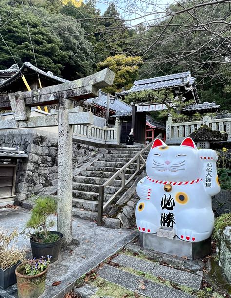 Omatsu Daigongen—The Amazing Cat Temple Of Shikoku