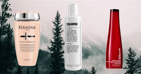 8 Best Sulfate-Free Shampoos for Curly Hair - Crumpe