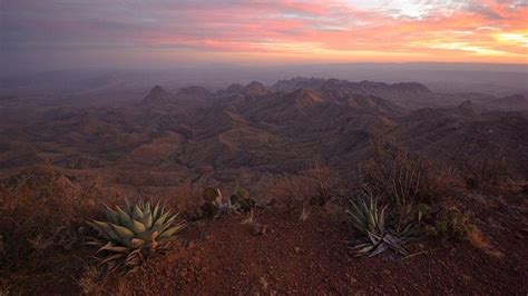 120 best images about Chihuahuan Desert on Pinterest | News mexico ...