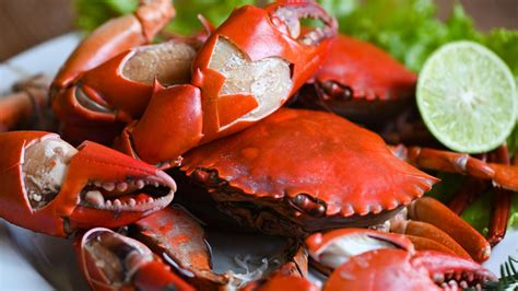 12 Tips You Need When Cooking With Crab