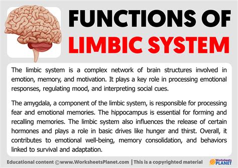 Functions of Limbic System