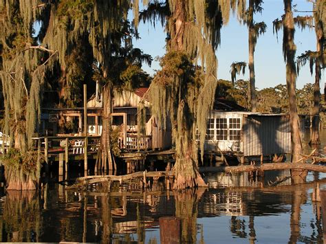 bayou shack by stevenwaynesmith | Louisiana bayou, Bayou house, Louisiana swamp