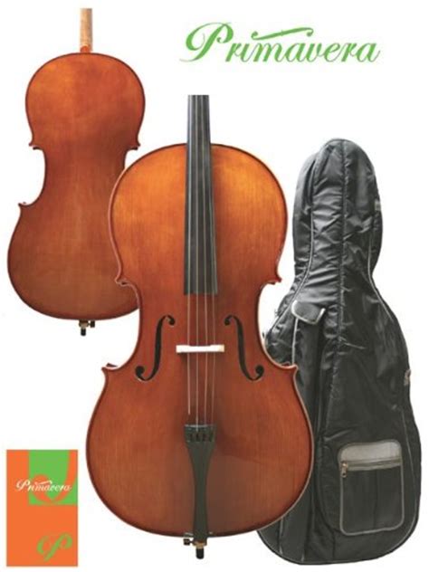 10 Best Cello Brands Review 2018 - Consordini.com