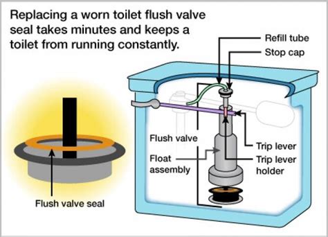 How To Replace a Toilet Flush Valve Seal | Angie's List