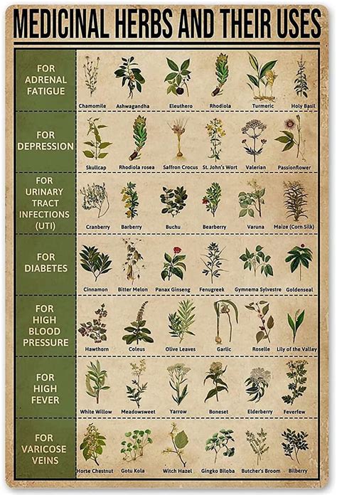 Medicinal Herbs and Their Uses Holistic Metal Sign Vintage Rustic Styled Kitchen Decor ...