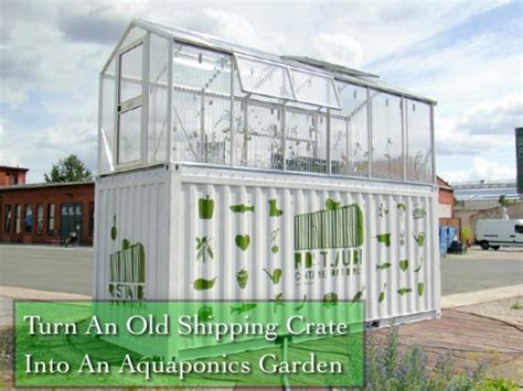 Shipping Crate Aquaponics - Homestead & Survival