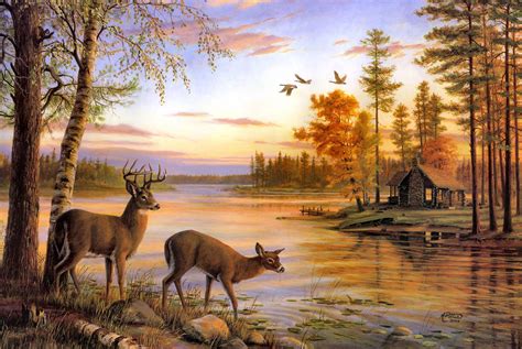 Deer Backgrounds Pictures - Wallpaper Cave