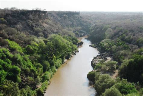 Awash National Park & the Alledeghi Plains, Ethiopia - Journeys by Design