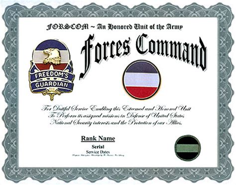 FORSCOM, U.S. Army Forces Command Service Display Recognition