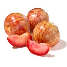 Plumcot Varieties - HEB