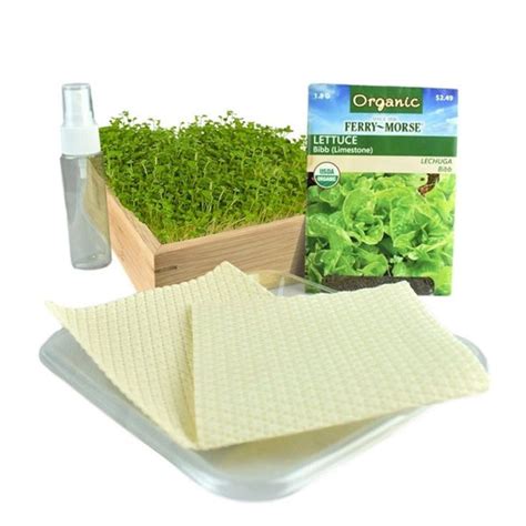 Microgreens Kit Personalized soil-free microgreens kit with reusable bamboo box, includes ...