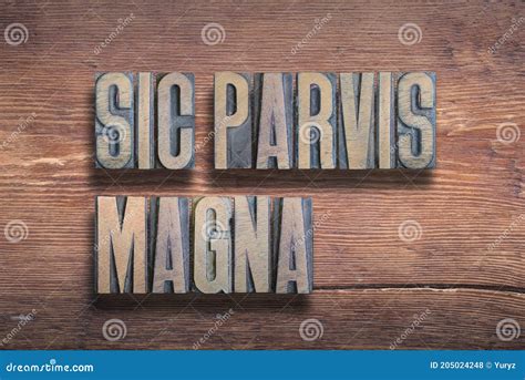 Sic parvis magna stock photo. Image of letterpress, growth - 205024248