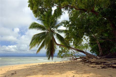 Bislig City’s Tropical Getaway: Hagonoy Island