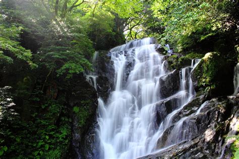 Shiraito Falls (Fukuoka) | Travel Japan - Japan National Tourism Organization (Official Site)