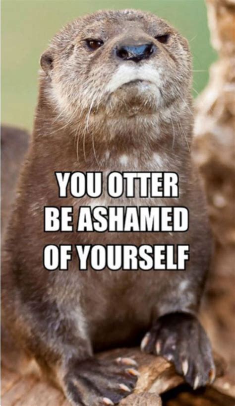 Otter Puns – Punpedia