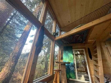 Eagles Nest Cabin Photos - Alaskan Cabins In Yakutat