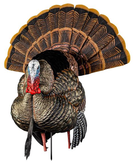 Avian X AVXAVX8108 HDR Strutter Turkey Species Multi Color - Springhill Outfitters