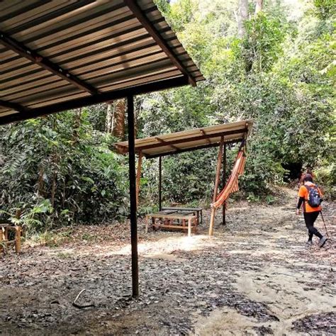 Gunung Angsi hiking from Bukit Putus - my first hand experience