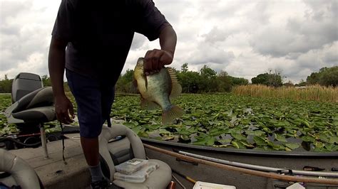 Shellcracker Fishing March 23, 2013 - YouTube