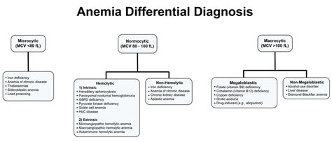 Anemia - Causes, Types, Signs, Symptoms, Diagnosis, Test & Treatment