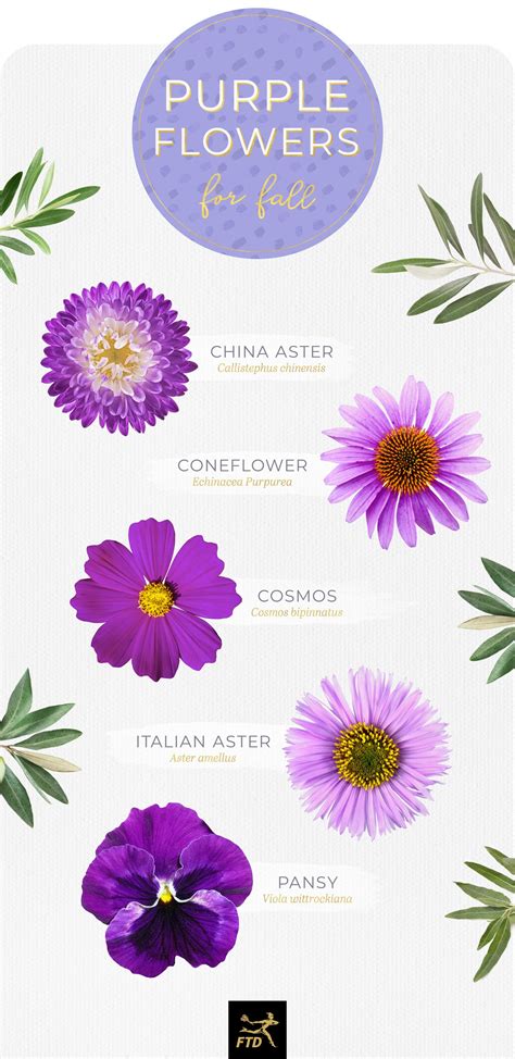 50 Types of Purple Flowers - FTD.com | Types of purple flowers, Small purple flowers, Purple ...