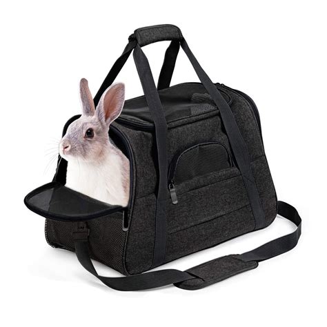 10 Best Rabbit Carriers for Safe and Comfortable Transport | USA Rabbit ...