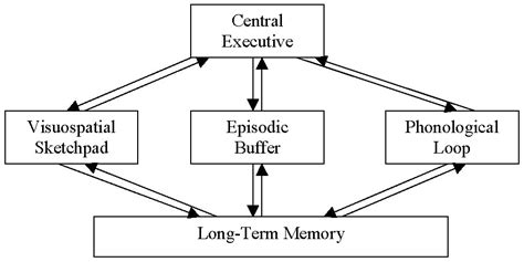 Working Memory (Definition + Examples) - Practical Psychology