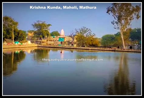 Shatrughna temple & Lavanasura’s cave, Madhuvan (Maholi), Mathura | Vraja Mandala - The Gaudiya ...