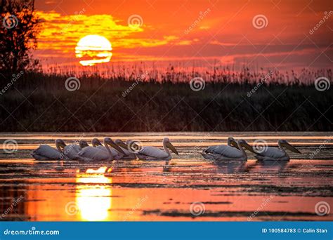 Delta Dunarii, Romania stock image. Image of beautiful - 100584783