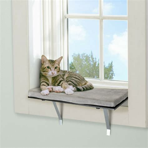 Veryke Cat Window Perch, Easy Set Up DIY Kitty Sill, Cat Shelves ...