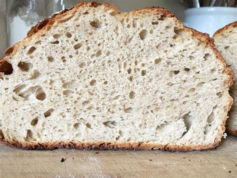 Spelt Flour No Knead Bread + My First Blog Post Ever | Accidental Artisan