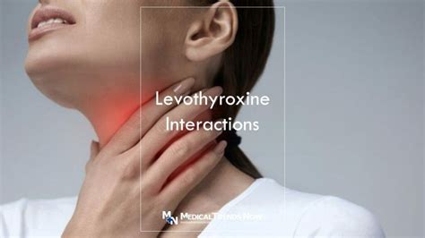 7 Tips to Avoid Levothyroxine Interactions and Keep Filipino’s Thyroid ...