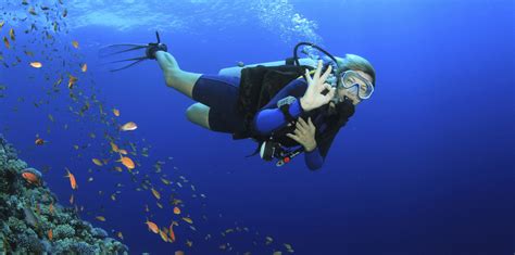 The Cost Of Scuba Diving In Mauritius – DesertDivers