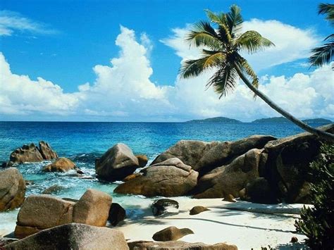 Brazil Beaches Wallpapers - Top Free Brazil Beaches Backgrounds ...