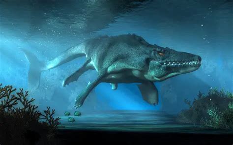 25 Facts About The Mosasaurus For Kids - Dinosaur Facts For Kids (2023)