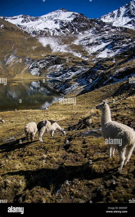 Mountains from Bolivia Stock Photo - Alamy