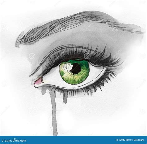 Beautiful green eye stock illustration. Illustration of tear - 100434818