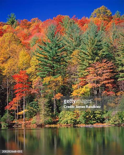 Chattahoochee National Forest Photos and Premium High Res Pictures - Getty Images