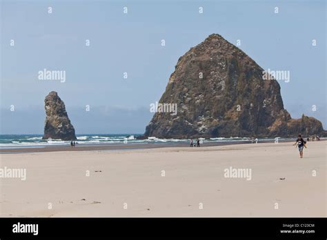 Haystack Rock at Cannon Beach, Clatsop County, Oregon, USA Stock Photo - Alamy