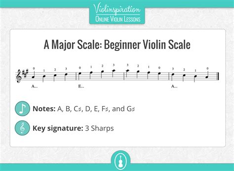 Violin Scales: The 5 Most Commonly Used Violin Scales - Violinspiration