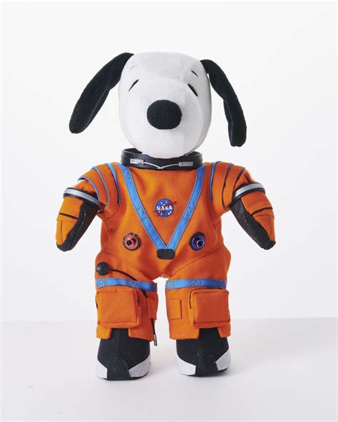 One Small Step For Man, One Giant Leap for Snoopy: Plush Version ...