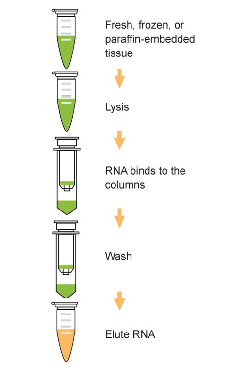 EpiQuik Total RNA Isolation Kit | EpigenTek